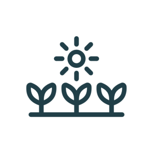 Sustainable Agriculture