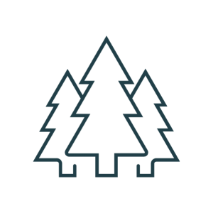 Sustainable Forestry